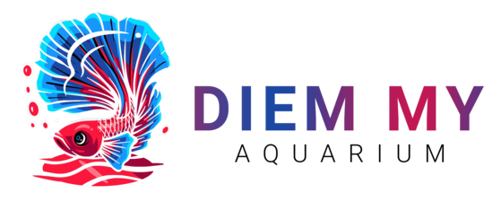 News Website